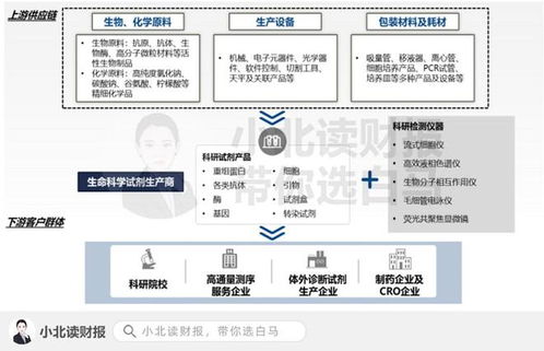 醫藥新興行業 信息技術咨詢服務的百億藍海市場與十倍增長機會